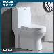  Chinese Manufacturer Bathroom Wc Water Closet Sanitary Ware Ceramic Elongated Commode Siphonic Flush One Piece Toilet