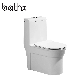 Popular Style Sanitary Ware Floor Mounted Bathroom Dual Flush Siphonic One Piece Toilet