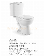 Bathroom Sanitary Ware Ceramic Flush 2 Two Piece Wc Toilet Water Closet manufacturer