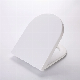 Custom European Plastic Toilet Seat Suitable for Children Ap108qz