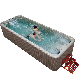  SPA Salt Water Swim SPA Jet Surf Pool Swimming Pool Hot Tub Combo