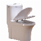  Sairi Sanitary Wares One Piece Toilet with Sink China Supplier Wholesalers Bathroom Water Closet
