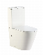  Hot Sale Ceramic Washdown Sanitary Ware Two-Piece Modern Toilet