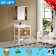 PVC Modern Wall Hung Durable Sanitary Ware Bathroom by-P4092-60