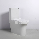  Watermark Two Piece Toilet Competitive Price Sanitary Ware Bothroom