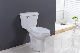 Competitive Price Sanitary Ware Wc Top Botton with Cupc