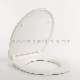  European Urea Quick Release Hinge Toilet Seat, Best Price, Sanitary Ware (Au202)