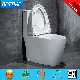  China Sanitary Appliance Factory Direct Price Sanitary Ware with Ceramic Toilet Bc-2027