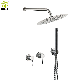  Stainless Steel Two Handles in Wall Mounted Concealed Shower Faucet