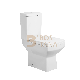 China Factory Bathroom Wc Washdown Toilet Two Piece Toilet Ceramic Sanitaryware manufacturer