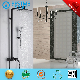 Sanitaryware Bathroom Single Handle Brass High Quality Rain Shower (Bm801107b)