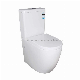 Sanitary Ware Wall Faced Watermark Toilet with Slim Cover Seat