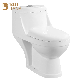 Wc Bathroom Washdown One Piece Toilets for Middle Eastern Countries Sanitary Ware manufacturer