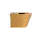 Wholesale Ceramic Bathroom Sanitaryware Luxury Gold Back to Wall Bidet