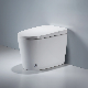  Sanitary Ware Wc Bowl Soft Closedtoilet