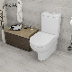 Australian Standard Two Piece Ceramic Rimless Toilet Sanitary Ware manufacturer