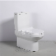 European Design Washdown Sanitary Ware Cheap P-Trap Two Piece Toilet