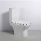  Square Design Sanitary Ware Washdown Ceramic Two Piece Toilet Set