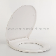 Aobo Sanitary Ware Bathroom Toilet Seat Wholesale Plastic Toilet Seat Bidet Ap522 manufacturer