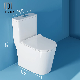 Australian Standard Good Quality Watermark Two-Piece Rimless Toilet with Adaptor