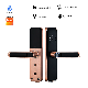 High Security Key Fingerprint Password Semi-Automatic Electronic Handle Tuya Ttlock WiFi Bedroom Office Apartment Hotel Smart Lock