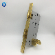 Golden Stainless Steel Roller Latch Mortise Lock manufacturer