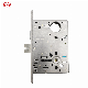 High-Quality American ANSI Mortise Lock for Glass Door