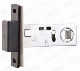  Security Mortise/Mortice Door Lock/Tubular Latch/Magnetic Lock Body (CX-03A)