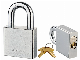 High Security Square/ Interchangeable Brass Cylinder/ Steel Padlock (216)