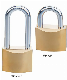  High Security Plated Disc Iron Padlock (034)