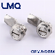 2X4 Slot Stainless Steel Quarter Turn Lock, SUS316 Industrial Lock manufacturer