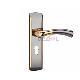  Wholesale Entry Push Pull Handle with Back Plate Middle East Design Zinc Door Lock Lever Handle on Plate