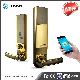 Bonwin Factory Price for Smart Zinc Online Mortise Door Lock manufacturer