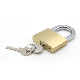 High Quality Sample Available Cheap Price Safety Pad Lock & Brass Padlock manufacturer