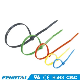 PA66 UV Black Plastic Self-Locking Nylon Cable Tie