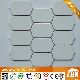 Various Color Available Wall and Floor Ceramic Mosaic (C655040)