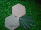 Garden Decoration Hexagon Polar Ray Porcelain Wall&Floor Tile (200*230mm)