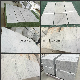  Natural Stone White Marble Bianco Carrara Marble Wall & Flooring Tiles