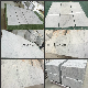 Natural Stone White Marble Bianco Carrara Marble Wall & Flooring Tiles