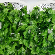  Wholesale Indoor Decoration IVY Garland, Outdoor Vine Garland Plants, Greenery Wall Decoration for Wedding Party