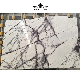 Natural Marbre Wholesale Polished White Wood Marble Tabletop /Wall Tiles/Countertop/Floor Tiles/Slab Tiles