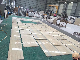 Marble/Granite/Quartz/Travertine/Sandstone/Mosaic Stone Tile for Floor manufacturer