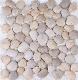  Variety of High Quality High Polished Pebble Mosaic for Garden Decoration