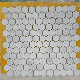 Carrara White Color Marble Stone Tile Hexagon Mosaic for Backsplash and Garden Flooring