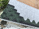 China Roofing Sheet Mosaic Asphalt Shingle Roof Tiles Factory Price